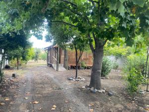 Cabaña en Quinchamalí