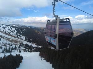 Regulus apartment Brzeće Kopaonik