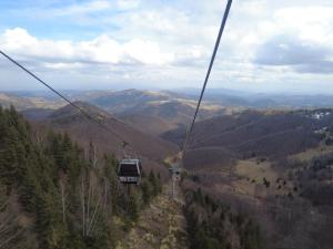 Regulus apartment Brzeće Kopaonik