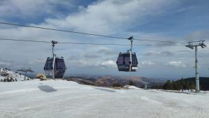 Regulus apartment Brzeće Kopaonik