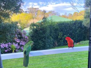 Entire Self-Contained Cabin on the Beautiful Mountain