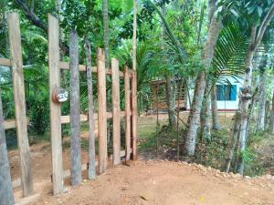 Cinnamon Forest Nature Rooms