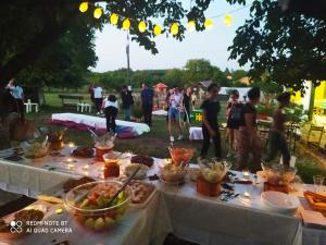 Dečiji vinogradi Belgrade, Sopot, Kosmaj