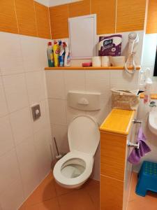 Rodinný apartmán Frymburk u aquaparku