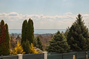 Silver Home Apartman "A"