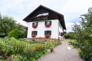 Bei den Hartmanns