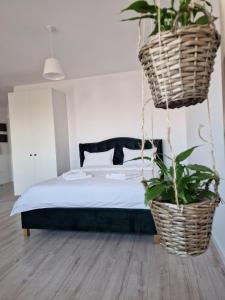 Green Apartment Iasi