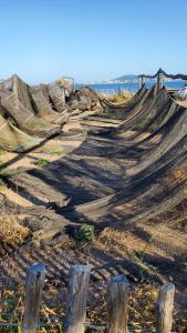 Appartements Le vent dans les voiles - Appartement classe 4 etoiles : photos des chambres