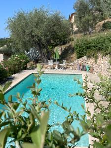 B&B / Chambres d'hotes Villa Daphne : photos des chambres