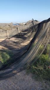 Appartements Le vent dans les voiles - Appartement classe 4 etoiles : photos des chambres