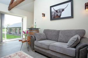 Meadow View