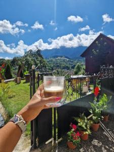 Casa Iulia si Bogdan