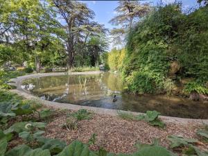 Maisons de vacances Gite Le Bosquet - Au coeur du Luberon : photos des chambres