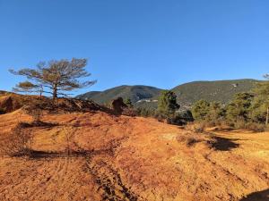 Maisons de vacances Gite Le Bosquet - Au coeur du Luberon : photos des chambres