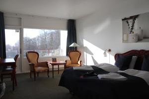 Superior Double Room with Lake View room in Milling Hotel Søpark