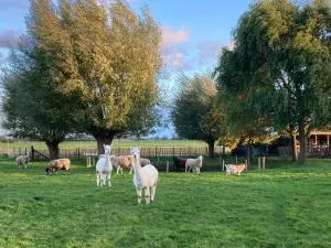 Casa Feliz - IJzerdeurhoek