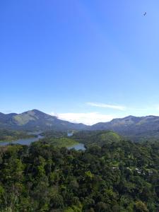 obrázek - Munnar Mist Resorts