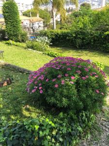 B&B / Chambres d'hotes Bed & Breakfast Chambres d'hotes COTTAGE BELLEVUE : Chambre Standard avec Salle de Bains Commune