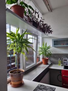 Apartmán Ambrak č.1