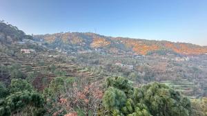 F s kasauli