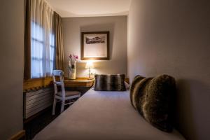 Single Room room in Hotel Le Samoyede