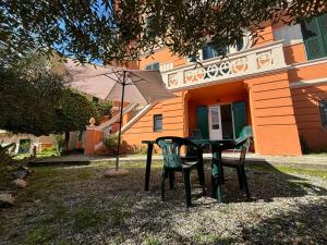 Il giardino degli ulivi