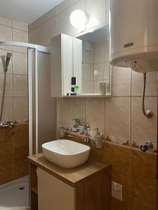 Apartman Radan M