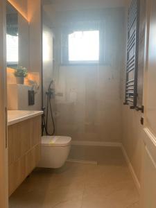 Casa Domnească Cacica