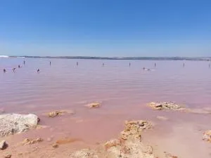 Marina apartman - La Marina