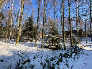 Domaine du Hygge Chalets Lodges & Spa : photos des chambres