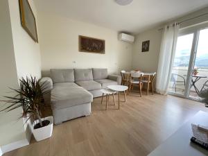 Spring apartment in Permet