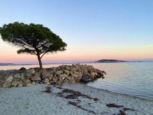 Maisons de vacances Romantic Maison de Pecheur sparkling sea views : photos des chambres