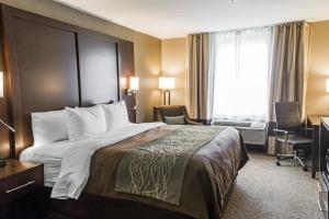 Standard King Room - Non-Smoking  room in Comfort Inn & Suites Pharr/McAllen