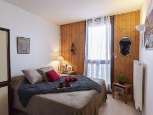 Appartement 6 personnes proche pistes de skis du Pla dAdet - FR-1-296-384