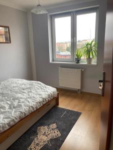 Apartament nad rzeką na Mazurach