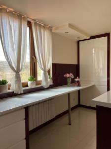 Apartament w Zielonej Dolinie