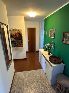 Ljubljana center with a castle view, PARKING