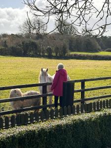 Hideaway Huts in the Burren