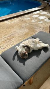 MAR VERDE - Parede-Cascais