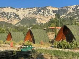 Zeyve Bungalov Tatil Köyü - 锡利夫凯