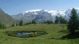 Champoluc Apartment