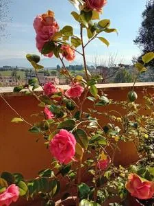 acasadimamma - Monterotondo