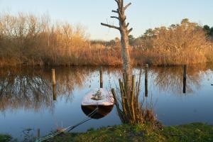 Maisons de vacances L'ilot du 9 - Cabane & spa au bord du lac : photos des chambres