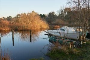 Maisons de vacances L'ilot du 9 - Cabane & spa au bord du lac : Maison 1 Chambre