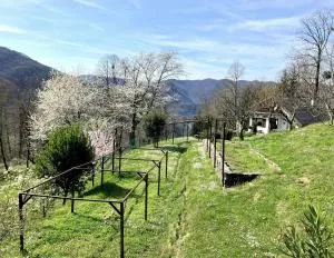 Vilijev Raj, a property with cottage in the countryside - Avče