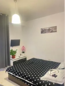 Studio - Popeşti-Leordeni