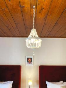 Mestizo Antigua Cortijo