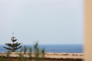 Olive Apartment Crete