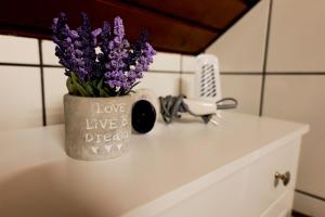 Transylvanian Hideaway Apartment