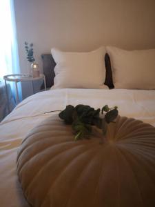 Cozy stay in the heart of Billund